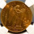 画像1: 【100年以前の安定的人気コイン】フランス 1904年 エンジェル金貨 50フランNGC MS62 (1)