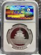 画像2: 中国 2015 パンダ銀貨 10元 NGC MS69 Early Releases (2)