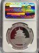 画像2: 中国 2012 パンダ銀貨 10元 NGC MS70 Early Releases (2)