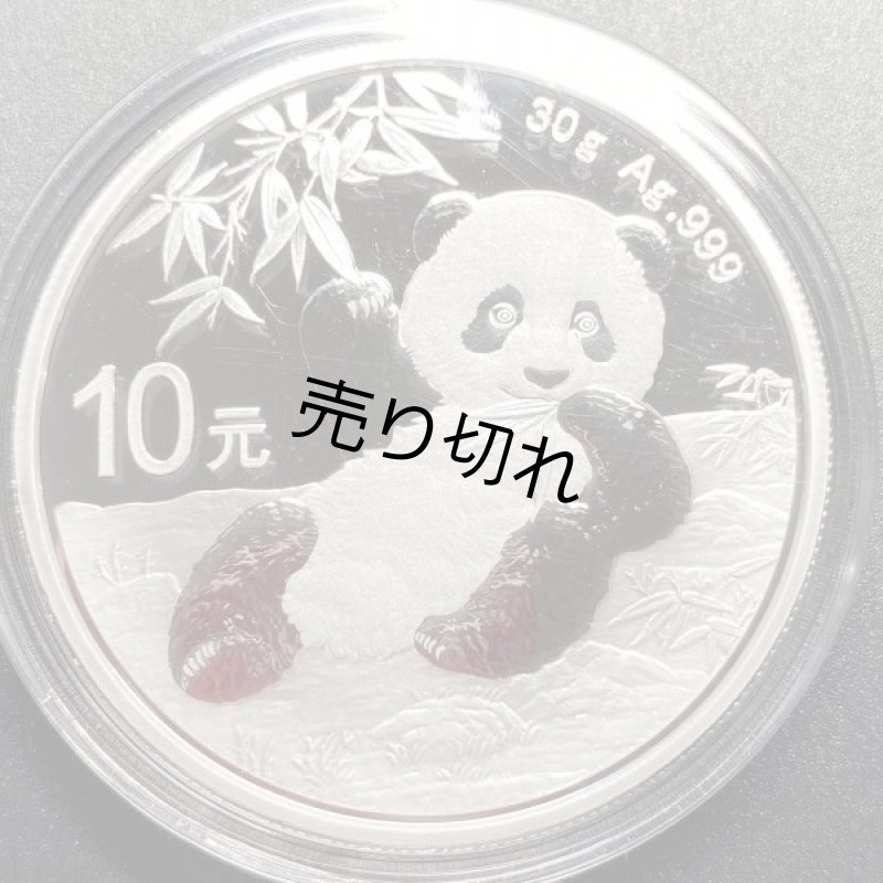 画像1: 中国 2020 パンダ銀貨 10元  (1)