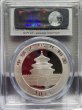 画像2: 中国 2014 パンダ銀貨 10元 PCGS MS69 First Strike (2)