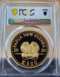 画像4: 2020年_パプアニューギニア_極楽鳥金貨_500キナ_PCGS_PR70DC(COA付・箱付)_PROOF (4)