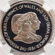 画像1: 1981年_フォークランド_50P銀貨_ダイアナ妃 成婚記念メダル_NGC_PF69UC (1)