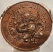 画像2: 1896年_射撃祭_銅メダル_R-691c_レア度H_PCGS_SP65(準最高鑑定) (2)