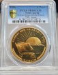 画像3: 1996年_北朝鮮_5Won銅貨_ダウン帝国主義連合70周年_PCGS_PR69DC(準最高鑑定) (3)